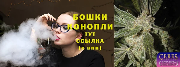 тгк Каменск-Шахтинский