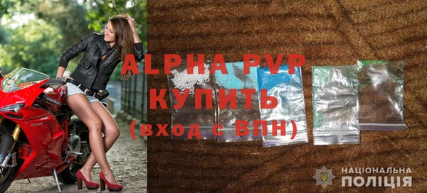 тгк Каменногорск
