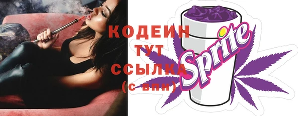 мдпв Инта