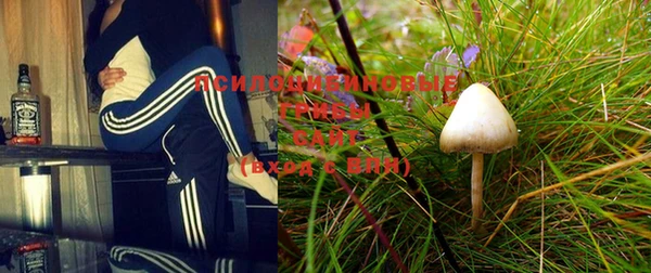 дурь Карабаново