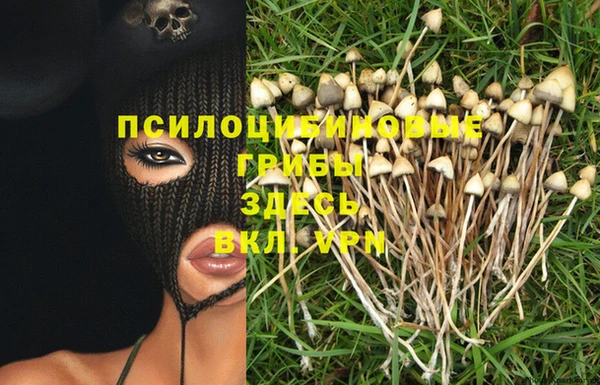 jwh Инсар