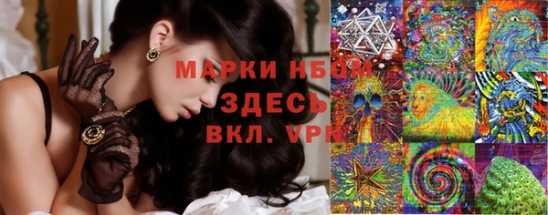 мдпв Инта
